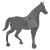 horse
